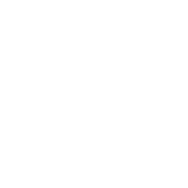 Initiative